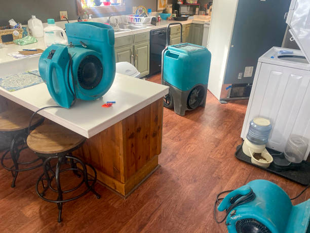 Carpet water damage restoration in Riverside, CA