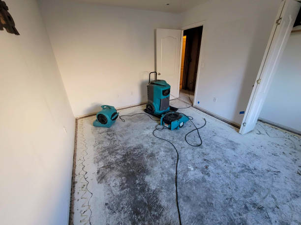 Best Basement water damage restoration  in Riverside, CA