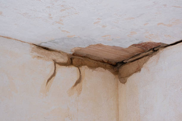 Best Residential water damage restoration  in Riverside, CA
