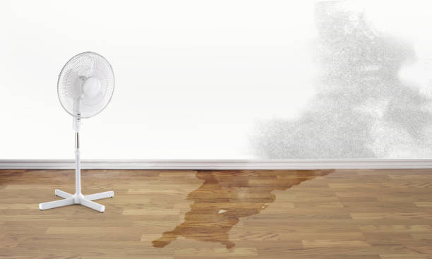 Water damage restoration insurance claims in Riverside, CA