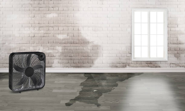 Best Water damage repair service  in Riverside, CA