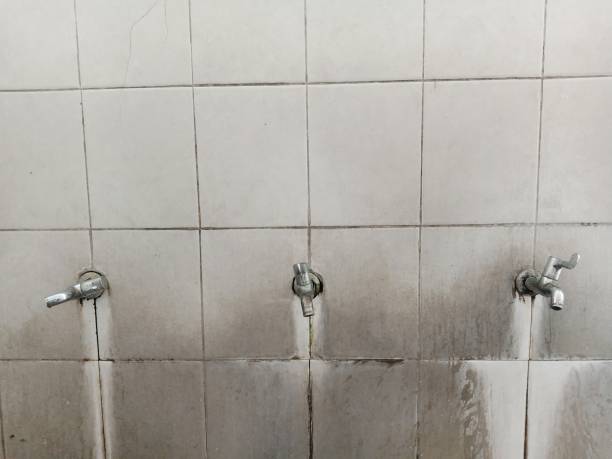 Best Water damage contractors near me  in Riverside, CA