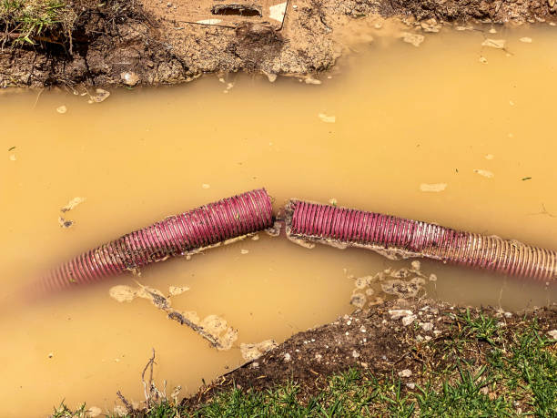 Best 24/7 water damage repair  in Riverside, CA