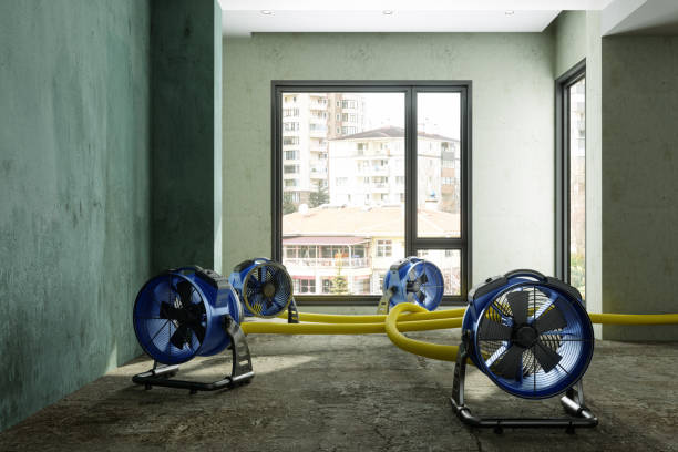  Riverside, CA Water damage restoration Pros